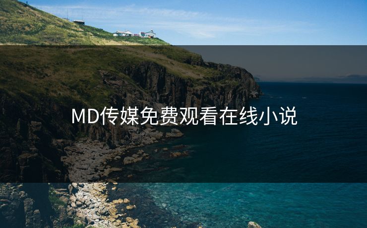 MD传媒免费观看在线小说
