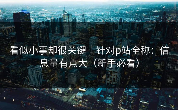 看似小事却很关键｜针对p站全称：信息量有点大（新手必看）