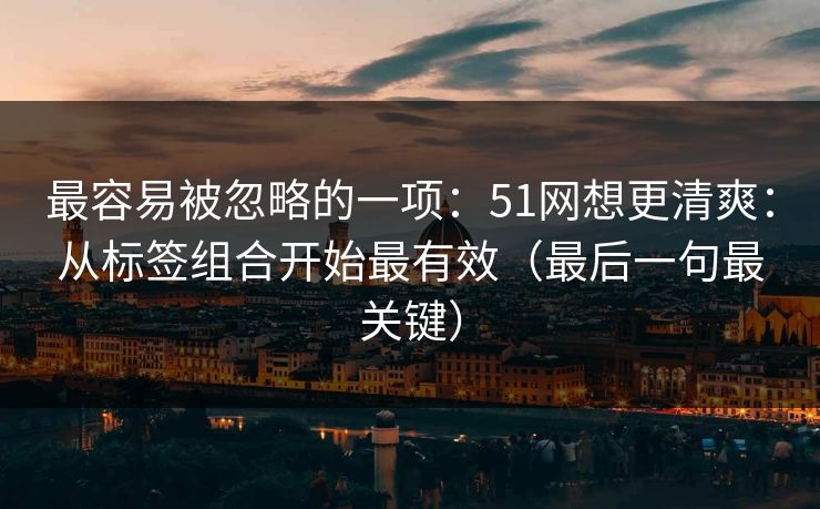 最容易被忽略的一项:51网想更清爽:从标签组合开始最有效(最后一句最关键) 最容易被忽略的一项:51网想更清爽:从标签组合开始最有效(最后一句最关键)